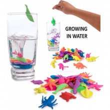 Magic Grow in Water Toy Aqua